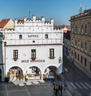 Hotel Bílý Koníček - Třeboň - 0