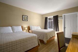 Nice Inn Edmonton - Edmonton - 1