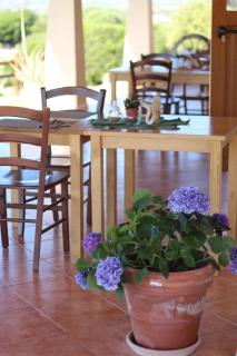 Locanda Rurale Lu Salconi - Bassacutena - 2