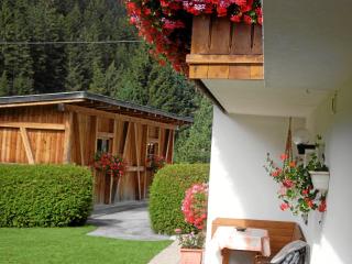 Haus Rosi - Sankt Leonhard im Pitztal - 8