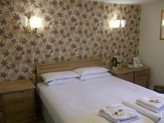 Radstock Hotel near Bath - 2