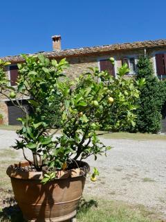 Due Piani - Barberino di Val d'Elsa - 3