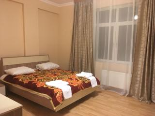 Elvintrade House - Gabala - 4