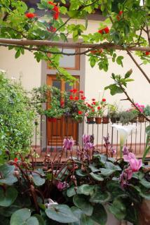 Faenza Novella - Florence - 9