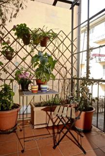 Faenza Novella - Florence - 5