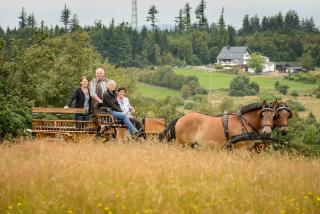 Ginsberger Heide - Hilchenbach - 4