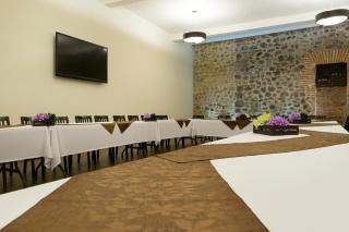 Hotel Imperial Luxury - San Martín Texmelucan de Labastida - 4