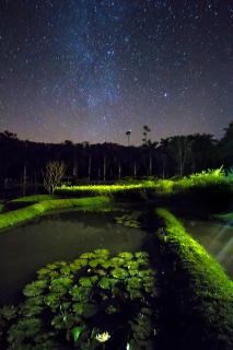 Macaw Lodge - Carara - 2