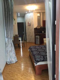 Apartment on Parnavaz Mepe Street - 9