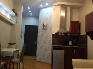 Apartment on Parnavaz Mepe Street - 6