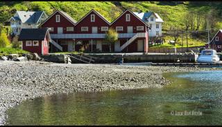 Grandane Feriehus - Stongfjorden - 0
