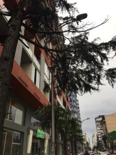 Apartment on Parnavaz Mepe Street - 7