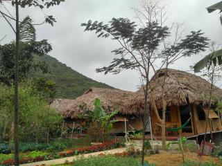 Cuc Phuong Bungalow - Nho Quan - 2