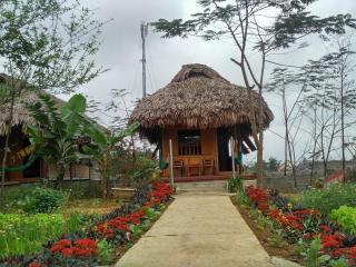 Cuc Phuong Bungalow - Nho Quan - 1