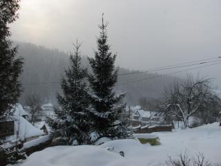 Sadyba Chertizh - Tatariv - 1