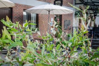 Auberge de la Lesse - Celles - 4