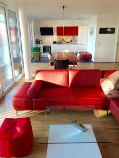 Rhein Melodie riverview luxury - Konstanz - 9