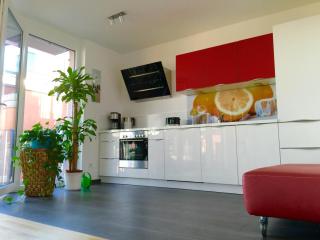 Rhein Melodie riverview luxury - Konstanz - 8
