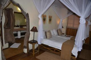 Moholoholo Forest Camp - Hoedspruit - 9