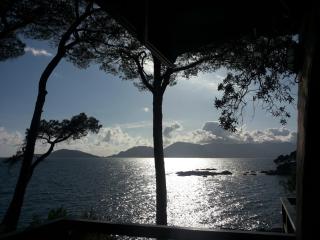 Villa Tregia - Tellaro - 5