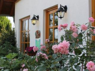 Spacious apartment in the green Bruchttal - Bredenborn - 4