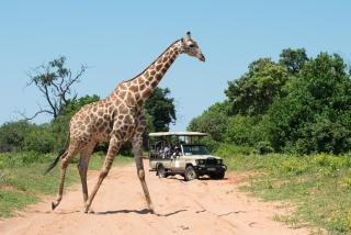 Chobe Water Villas - Kasika - 9