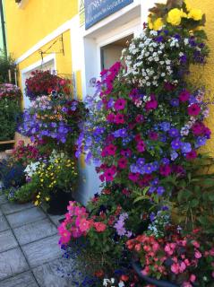 Globe Guesthouse - Burry Port - 6