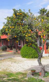 Monte da Xica - Somente Adultos - Zambujeira do Mar - 3