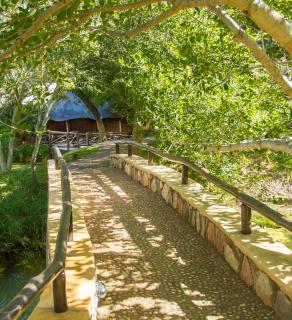 Little Bush Lodge - Hoedspruit - 1