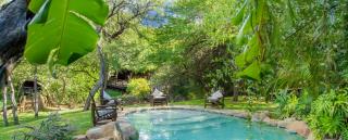 Little Bush Lodge - Hoedspruit - 3