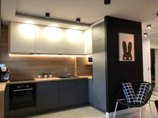 Family & Business Sauna Apartments Rynek Centrum Downtown - 2 Bedroom with Private Sauna, Balcony, Parking - Kielce - 7