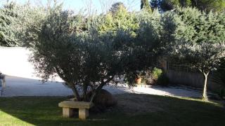 Chambre d'hôte Anais - Eyguières - 3