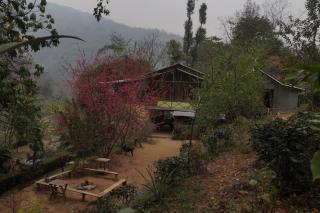 Tathagata Farm - 9