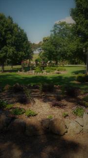 Manderley Park Farmstay B&B - 9