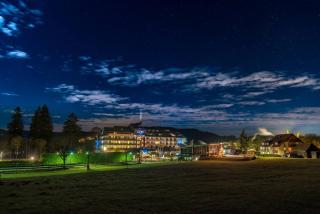 Maritim Titisee Hotel - Titisee-Neustadt - 8
