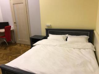 Apartment on Khorvatska Street - Lviv - 1