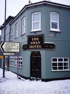The Swan Hotel - 7