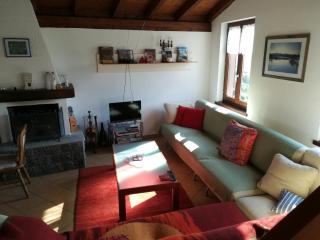 Casa Olivo - Montagnola - 2