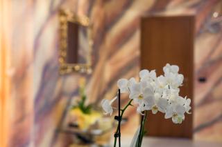 MB Place Abano Terme - 7