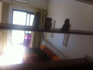 Bahia Flat - Salvador - 4