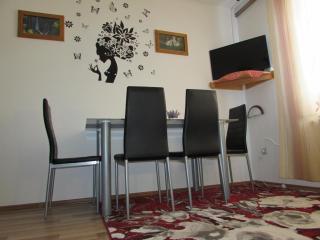 Apartment Špehar - Selište Drežničko - 1