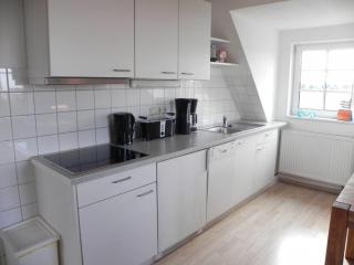 Haus Nordlicht Ferienwohnung *Auer Lun* - Nebel - 4