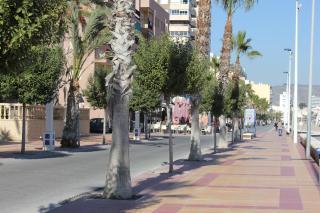 Apartamentos Congo - El Campello - 6