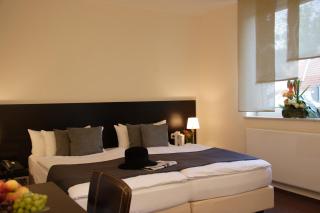 Hotel Bonjour - Bad Soden am Taunus - 5