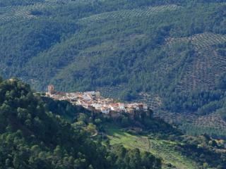 Apartamentos Raisa - 4