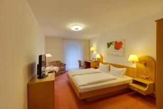 Hotel Pfälzer Wald - Bad Bergzabern - 1