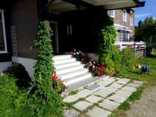 Tronsvangen Seter - Alvdal - 1