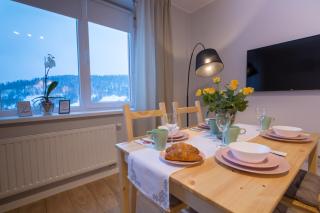 Apartament Słoneczny - Ustrzyki Dolne - 1