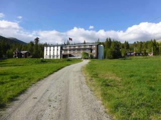 Tronsvangen Seter - Alvdal - 0