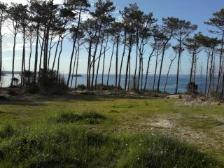 Villa Luisa Apartment - 4